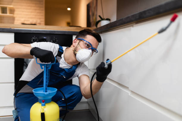 Best Cockroach Control Services  in Oswego, NY