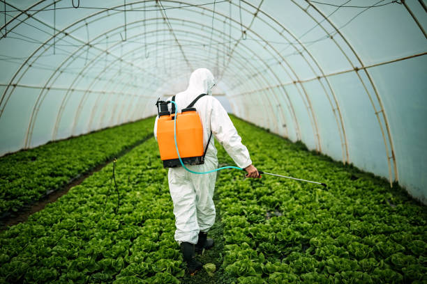 Best Best Pest Control Companies  in Oswego, NY