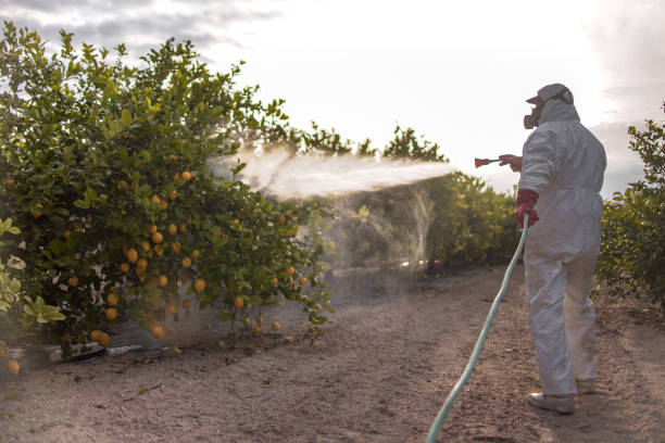 Best Pest Control Near Me  in Oswego, NY