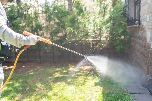 Best Spider Control Near Me  in Oswego, NY