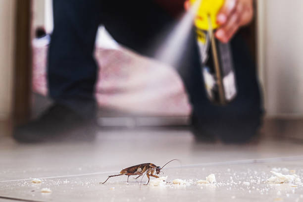 Best Best Pest Control Companies  in Oswego, NY
